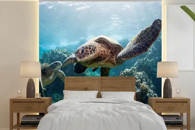 Produktbild von MuchoWow® Fototapete für Wohnzimmer oder Schlafzimmer Wandtapete Vinyl Motivtapete Zwei Meeresschildkröten - 260x260 cm - Papiertapeten