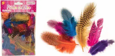 Produktbild von FEDERN gefleckt Bastelfedern Dekofedern Feathers 3g, mehrfarbig