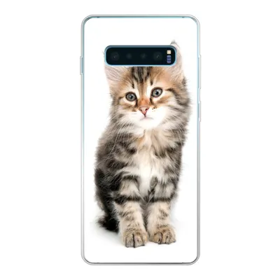 Produktbild von MuchoWow® Handyhülle Schutzhülle Hülle für Samsung Galaxy S10 Lite Kätzchen - Weiß - Nase - Mädchen - Kinder - Jungen - Kinder Silikon Softcase Handy Hülle - Schutz