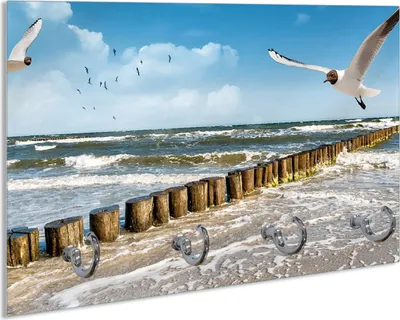 Produktbild von Wallario Schlüsselbrett aus Glas, Motiv: Fliegende Möwe am Strand, 30 x 20 cm mit 4 Haken