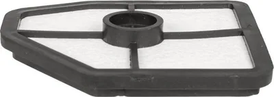 Zdjęcie produktu dla Filtr powietrza CEDRUS dmuchawa DM03 070452