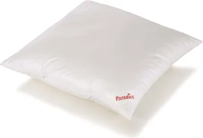 A white pillow is shown on a white background.