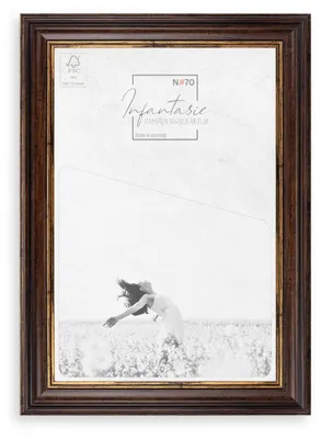 Produktbild von Bilderrahmen Barock N#71 | BRAUN GOLD | Antik Vintage Massivholz Fotorahmen , Größe:61x40