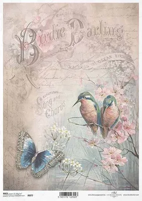 Produktbild von ITD Reispapier Decoupage Bastelpapier Serviettentechnik, R977 Vögel, Schmetterling