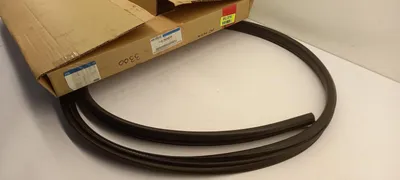 Produktbild von Original FORD Maverick (2001-2012) Heckscheibendichtung Hinten 4587243