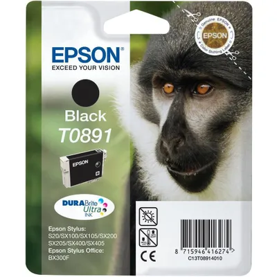 Image de Epson Cartouche d'encre T0891 noir (environ 170 pages)