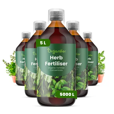Produktbild von Kräuter Flüssigdünger 5x1L – 3-4-3 NPK – Flüssig-Pflanzendünger für Kräuter in Garten, Hochbeet & Töpfen – Organifer