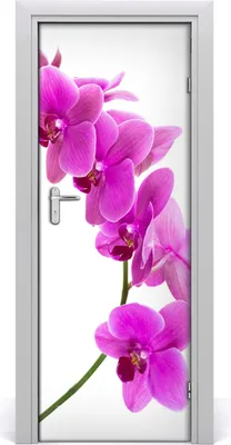 Produktbild von Tulup Türaufkleber 75x205 cm Dekorative Aufkleber Selbstklebend Wasserdichte Tapete Abnehmbar Schlafzimmer Wohnzimmer Wohnkultur - rosa Orchideen