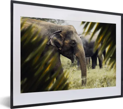 Produktbild von MuchoWow® MuchoWow® Gerahmtes Poster Elefant - Natur - Blätter 40x30 cm - Poster mit zchwarzem Bilderrahmen - Bilderrahmen - Poster im Rahmen