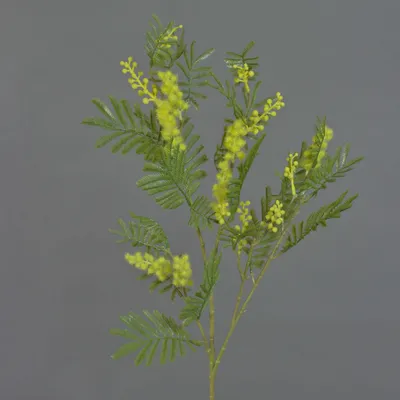 Produktbild von artplants.de Künstlicher Mimosenzweig BRANAU mit Blüten, gelb, 75cm - Deko Kunstzweig