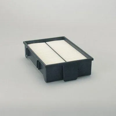 Produktbild von DONALDSON Innenraumfilter P500248 Motor