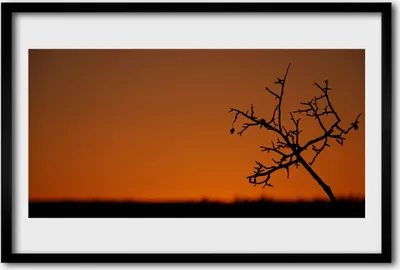 Produktbild von Bild 60x40 MDF-Rahmen Wandkunst Baum Kunst