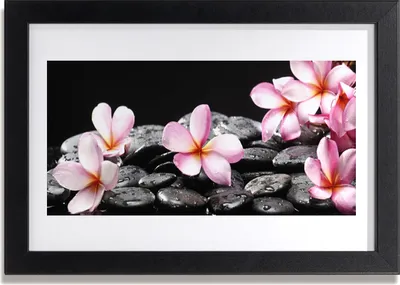Produktbild von Bild 30x20 MDF-Rahmen Wandkunst Plumeriablume auf der Wand
