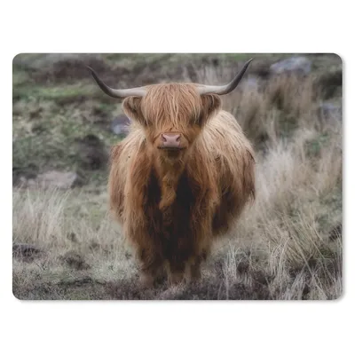 Produktbild von MuchoWow® Mauspad Mousepad Schottischer Hochländer - Moos - Gras 23x19 cm - Mousepads - Maus Mat - Pad - Mausunterlage - Schreibtischunterlage - Mauspad