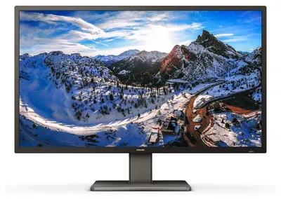Image de Philips 108,0cm(42,5") 439P1 16:09 3xHDMI+DP+USB-C VA