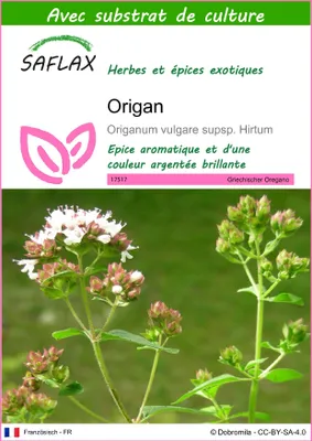 Image de SAFLAX  - Origan - 600 graines - Avec substrat - Origanum
