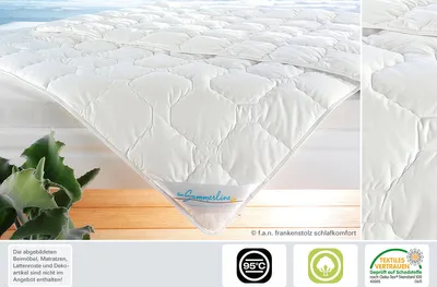 Produktbild von Frankenstolz f.a.n. Bettdecke Summerline Wash Baumwolle 155 x 220 cm Leicht-Steppbett