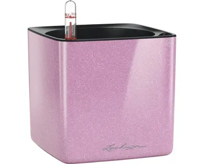 Produktbild von LECHUZA CUBE, Topfpflanzer, Freistehend, Polypropylen (PP), Pink, Quadratisch, Drinnen