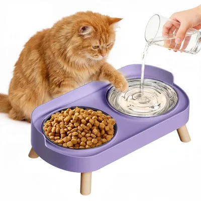 Image de Deux gamelles surélevées pour chats, en acier inoxydable, de couleur violette