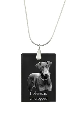 Image de Dobrman I - Pendentif en cristal avec chien, collier en argent avec photo, pendentif personnalisé de la marque Art-Dog