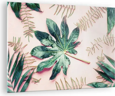 Produktbild von Bilder auf glas - Einteilig - Blatt Tropisch Palme - 70x50cm - Glasbilder - Wandbilder - Bilder - zum Aufhängen bereit - Wanddekoration aus Glas - Glas Bilder - Wandbild auf Glas - GAA70x50-4314