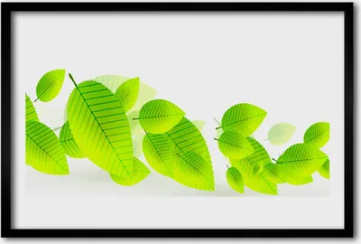Produktbild von Bild 60x40 MDF-Rahmen Wandkunst Blätter Blumen Natur