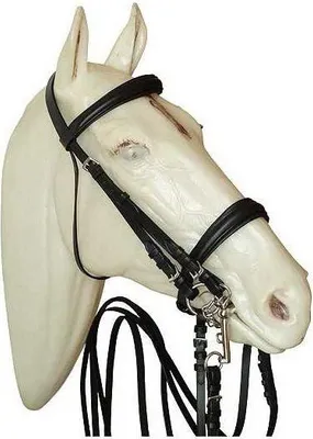 Produktbild von Marjoman Distribucion Dressage For Snaffle And Bit Winoseband Trense Schwarz Cob Schwarz Cob