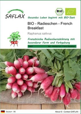 Produktbild von SAFLAX - BIO - Radieschen - French Breakfast - 150 Samen - Raphanus sativus