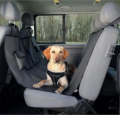 Image de Couvertures pour voiture 140-145 cm - Protection des animaux de compagnie