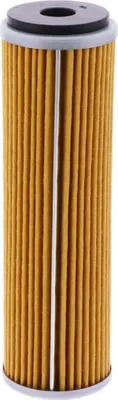 Immagine prodotto di Filtro olio HIFLOFILTRO HF691