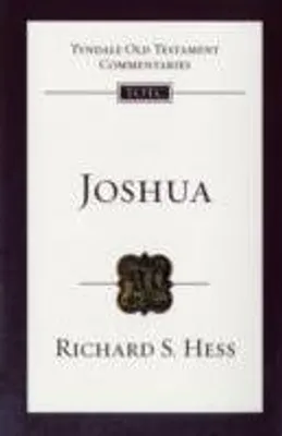 Produktbild von Joshua