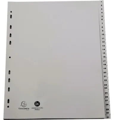 Produktbild von Exacompta Register A4+ Recycling-PP grau 120µ bedruckte Taben 1-31