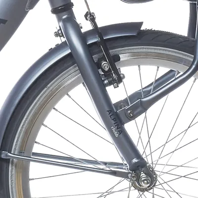 Produktbild von Alpina Fork 22 Clubb Satin Black Matt