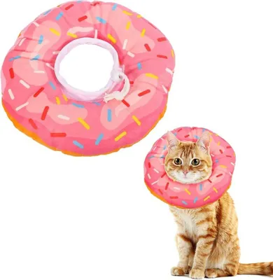 A product shot of a donut-shaped pet collar and a cat wearing the collar.