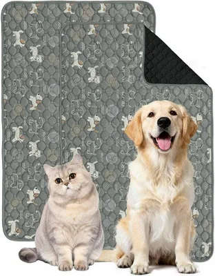 Productafbeelding van 2 stuks puppymatten wasbaar - 70 x 100 cm herbruikbare puppy trainingspads