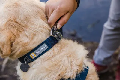 Produktbild von Ruffwear Front Range Halsband Blue Moon L (51-66cm)