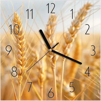 Produktbild von Wanduhr aus Glas mit Motiv Weizenfeld- 30 x 30 cm - inkl. Aufhängesystem