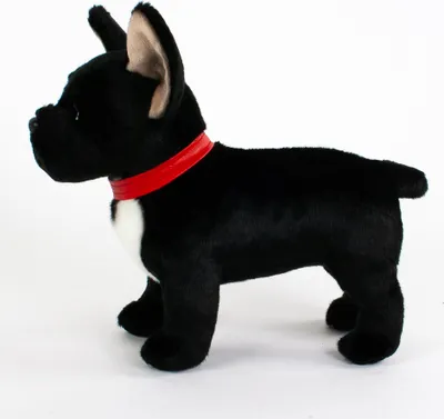 A black plush toy French Bulldog with a red collar, standing on a white background.