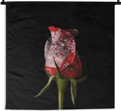 Produktbild von MuchoWow® Wandteppich Wandbehang Rosen - Blumen - Farbe 150x150 cm Tapisserie Dekoration Wandtuch - Wohnaccessoires - Modernes