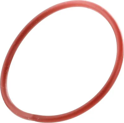 Obrázek produktu pro Těsnění Egr Ventilu Audi/Seat/Skoda/Vw 3Mmx55