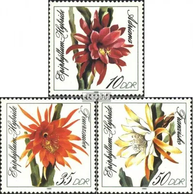 Produktbild von Briefmarken DDR 1989 Mi 3276-3278 (kompl.Ausgabe) gestempelt Blattkakteenzüchtungen