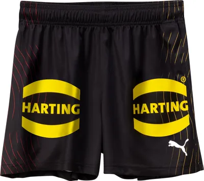 Produktbild von Puma DHB Shorts