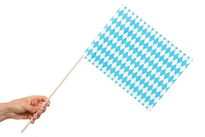 Produktbild von 10 Papier Flaggen Fähnchen mit Holzstab 50cm