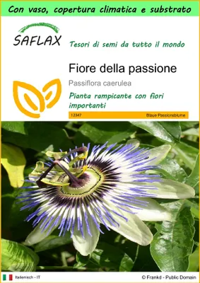 Immagine prodotto di SAFLAX Garden to go - Fiore della passione - 25 semi - Passiflora