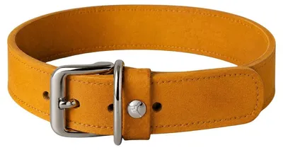 Produktbild von Das Lederband Hundehalsband Weinheim Yellow, Länge: 27 cm / Breite: 12 mm