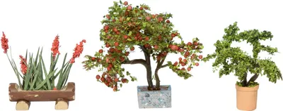 Immagine prodotto di NOCH 14020 Piante ornamentali in vasi da fiori 3 vasi da fiori