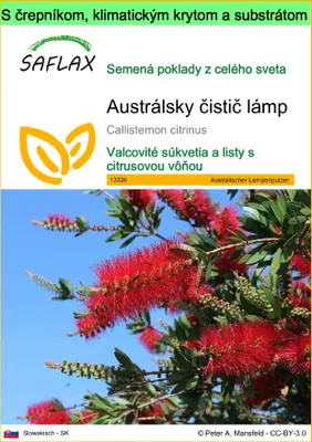 Obrázok produktu pre SAFLAX Garden to go - Austrálsky čistič lámp - Callistemon citrinus - 400 Semená - S črepníkom, klimatickým vekom a pestovateľským substrátom