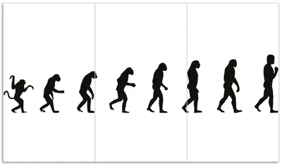 Produktbild von Wallario Herdabdeckplatte aus Glas, Größe 90 x 52 cm 3-teilig, Motiv Evolution - Die Entwicklung des Menschen