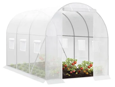 Image de Serre en film plastique - Serre tunnel - 300 x 200 x 200 cm - Résistant aux intempéries hivernales - Pour tomates et légumes - Avec porte - 6 fenêtres - Blanc