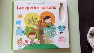 Image de Les quatre saisons